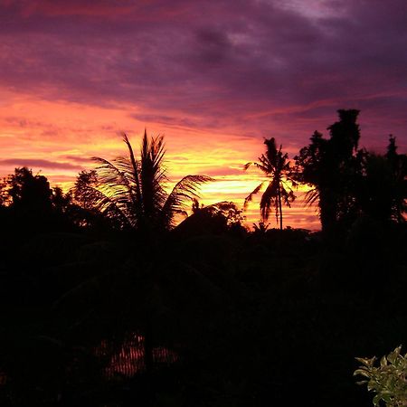 Kun - Kun Guest House Ubud Esterno foto