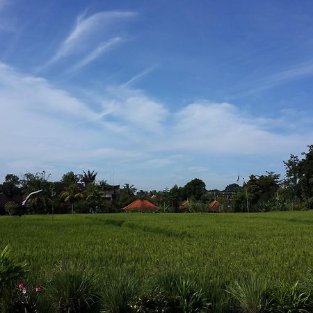 Kun - Kun Guest House Ubud Esterno foto